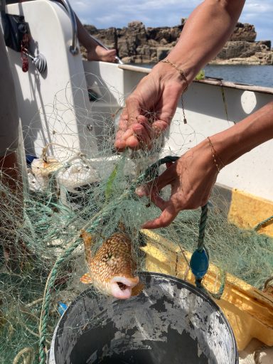 Pêche au filet